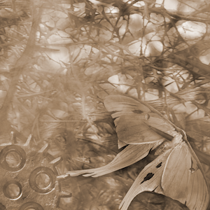 episode 128 — victorian lost